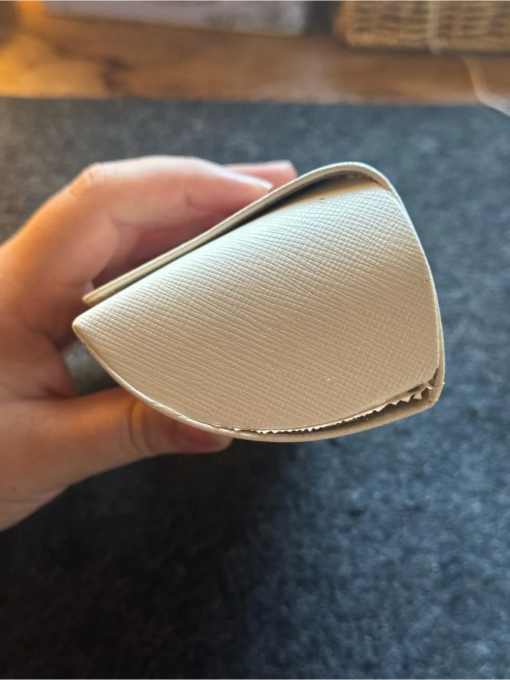 Michael Kors Cream Textured Eyewear Case